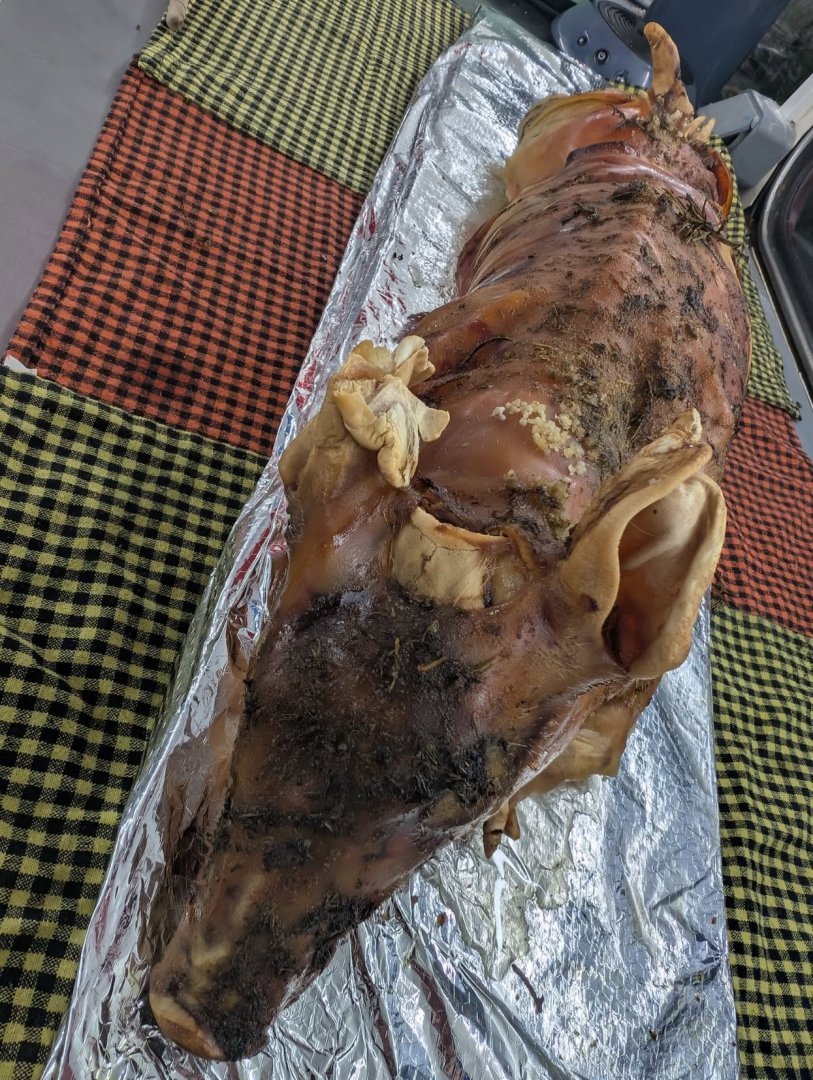 Un cochon de lait cuisson lente au four pour un vingtaine des personnes.